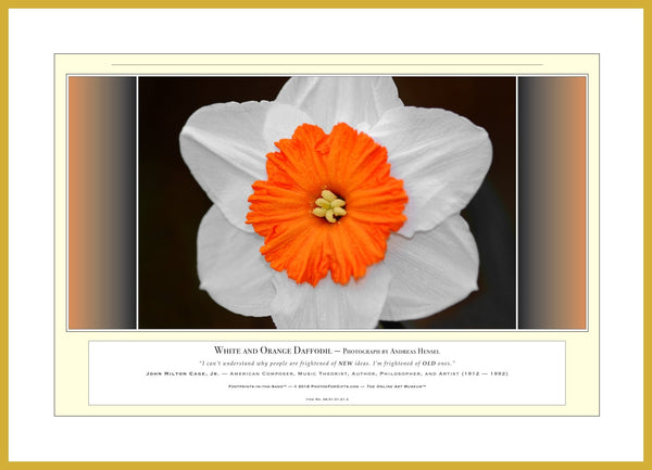 06.01.01.21.A — Flowers and Gardens — White and Orange Daffodil — PhotoPrint™