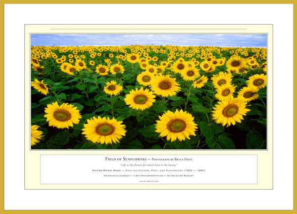 06.01.01.22.A — Flowers and Gardens — Field of Sunflowers — PhotoPrint™