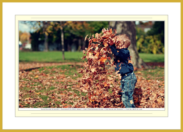 08.01.01.12.B — People — Child Playing in Leaves — SoloPhoto™