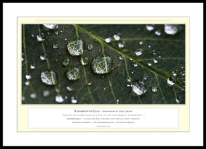 09.01.01.05.A — Abstract Art — Raindrops on Leaf — PhotoPrint™