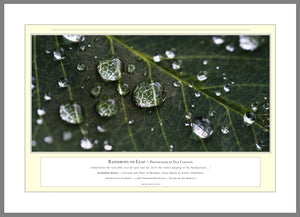 09.01.01.05.A — Abstract Art — Raindrops on Leaf — PhotoPrint™