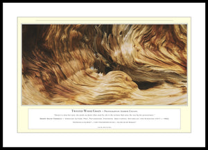 09.01.01.06.A — Abstract Art — Twisted Wood Grain — PhotoPrint™