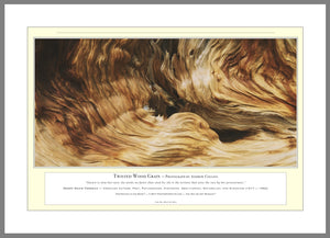 09.01.01.06.A — Abstract Art — Twisted Wood Grain — PhotoPrint™