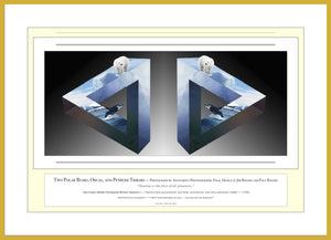 10.01.01.05.A — Unusual Scenes — Two Polar Bears, Orcas, and Penrose Tribars — PhotoPrint™