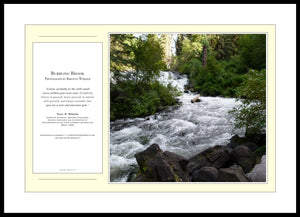 12.01.01.15 — PhotoPosters™ — Bubbling Brook — PhotoPoster™