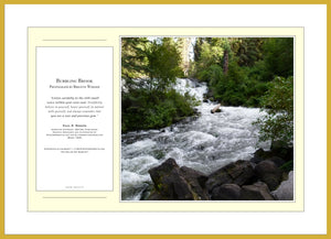 12.01.01.15 — PhotoPosters™ — Bubbling Brook — PhotoPoster™