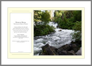 12.01.01.15 — PhotoPosters™ — Bubbling Brook — PhotoPoster™