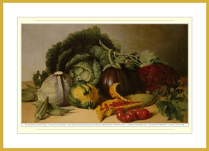 14.01.01.12.B — Metropolitan Artworks — Balsam Apple and Vegetables — SoloPhoto™